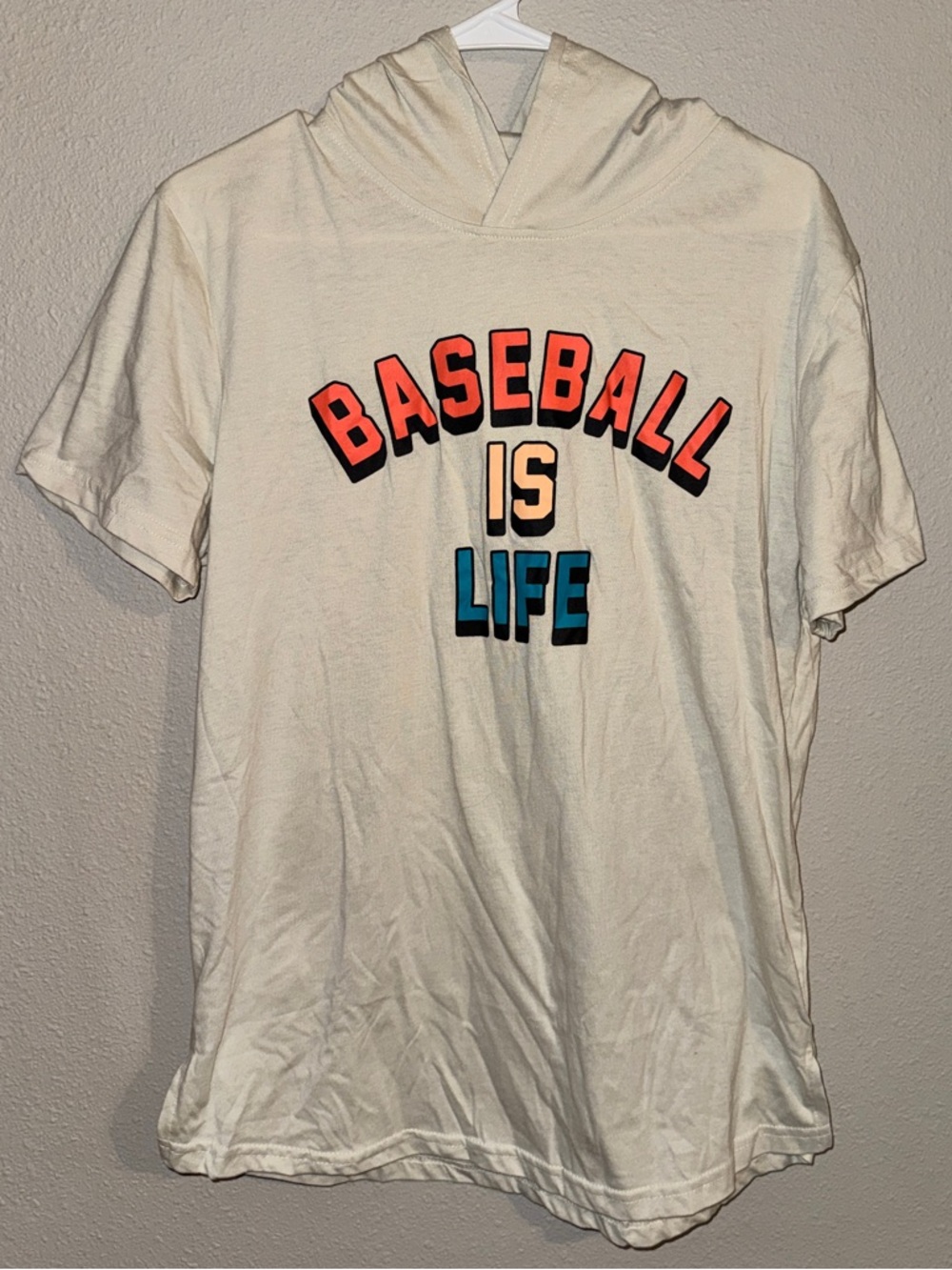 PLATE CRATE Men’s Baseball Is Life Hooded Tee